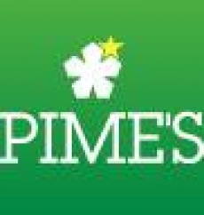 Proyecto PIME‘S