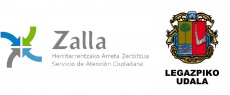 Video-actas. Ayuntamientos de Zalla y Legazpi